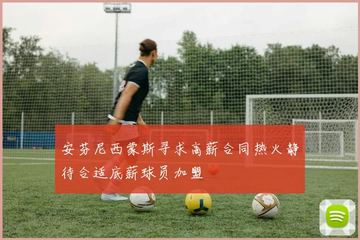 安芬尼西蒙斯寻求高薪合同热火静待合适底薪球员加盟