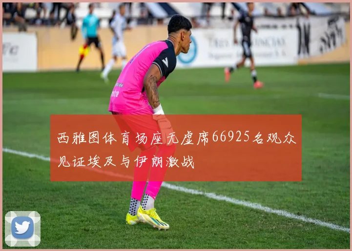 西雅图体育场座无虚席66925名观众见证埃及与伊朗激战