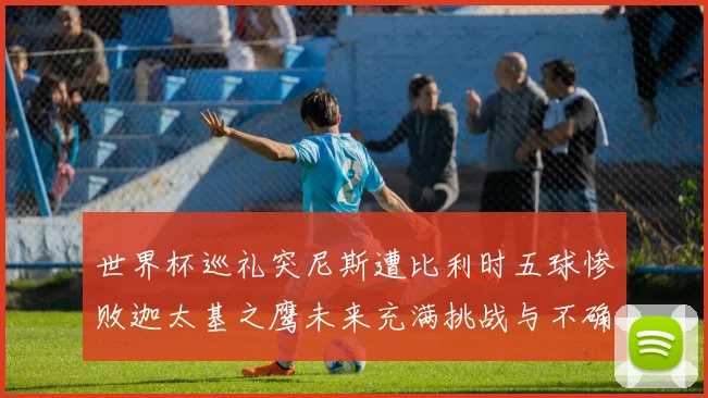 世界杯巡礼突尼斯遭比利时五球惨败迦太基之鹰未来充满挑战与不确定性