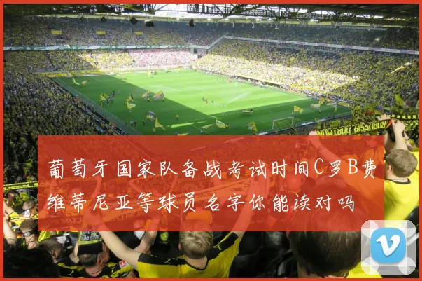 葡萄牙国家队备战考试时间C罗B费维蒂尼亚等球员名字你能读对吗