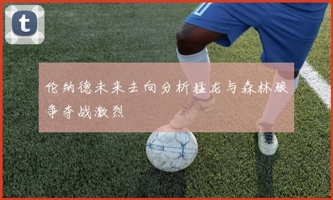 伦纳德未来去向分析猛龙与森林狼争夺战激烈