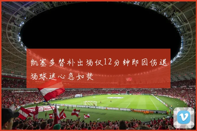 凯塞多替补出场仅12分钟即因伤退场球迷心急如焚